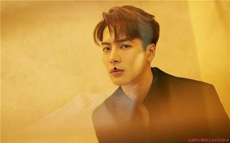 王安宇女友爆料视频播放,揭秘背后真相  第3张